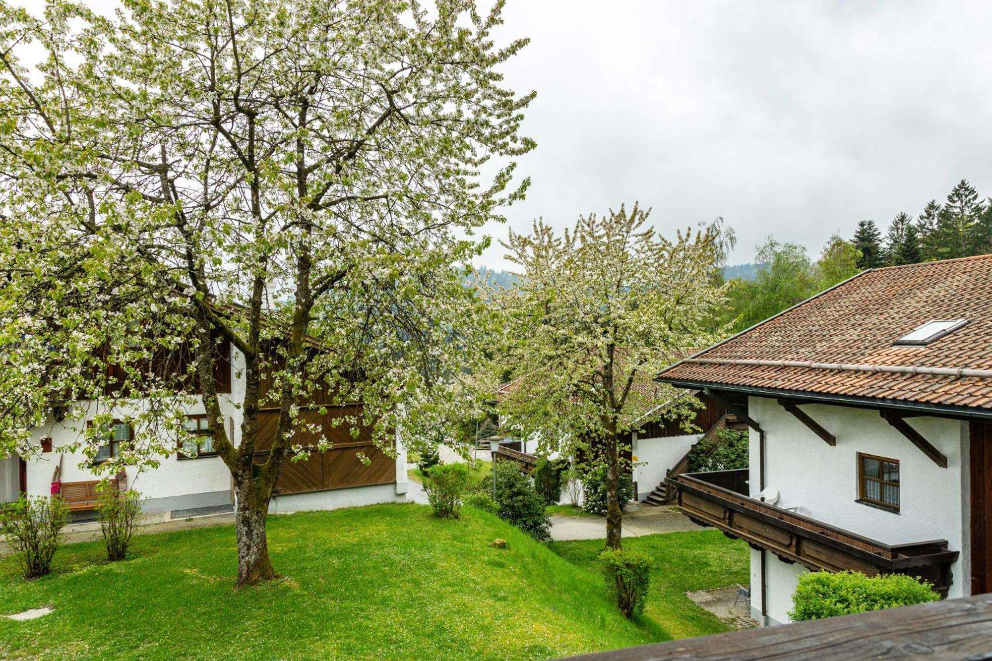 Komfortwohnung Mit Pool Und Sauna Hauzenberg Exteriér fotografie